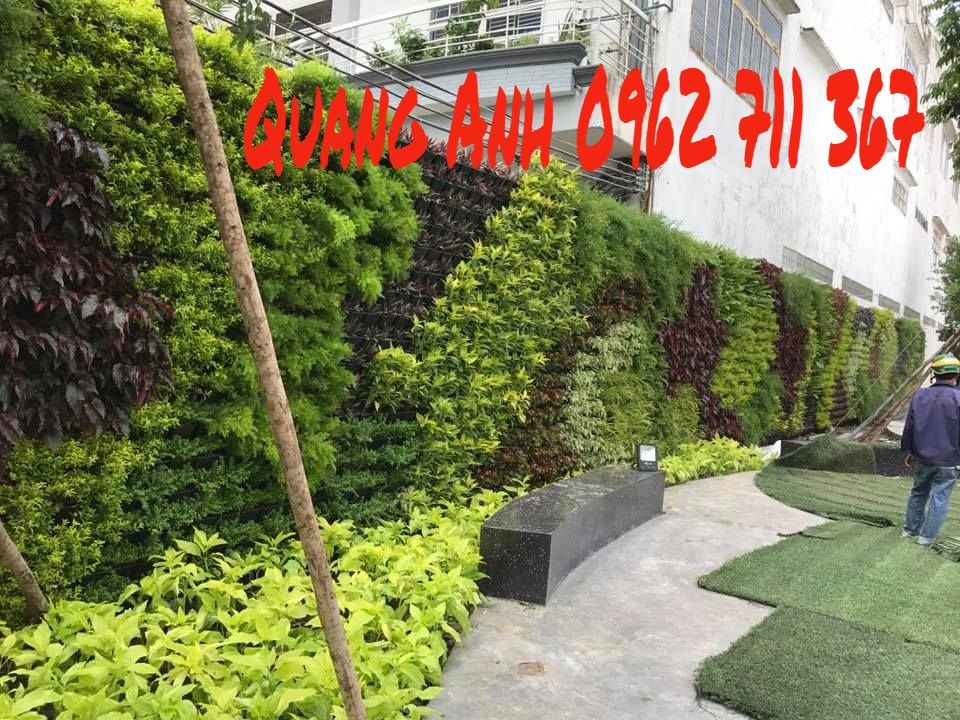 Thiết kế trang trí vườn tường đứng cây xanh HCM - 3