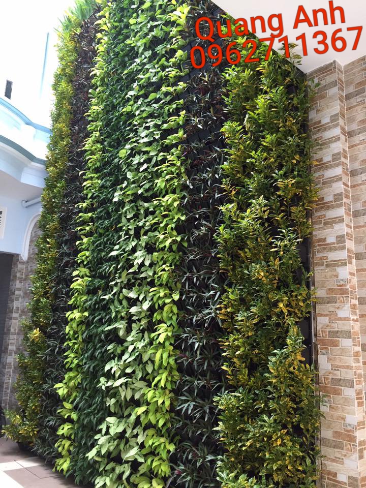 Quang Anh HCM chuyên thi công vườn tường đứng giá rẻ, đảm bảo chất lượng