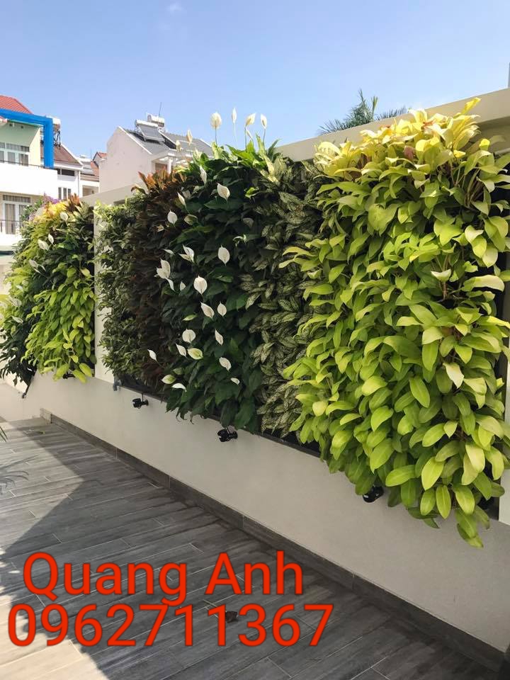 Công ty Quang Anh HCM chuyên thi công vườn tường đứng uy tín, chuyên nghiệp