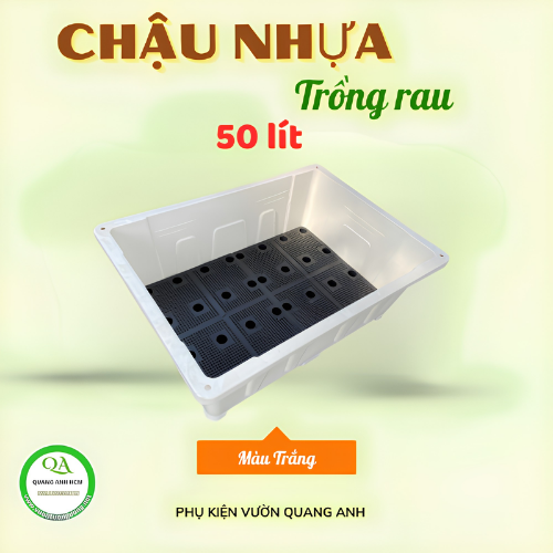 Chậu nhựa PP