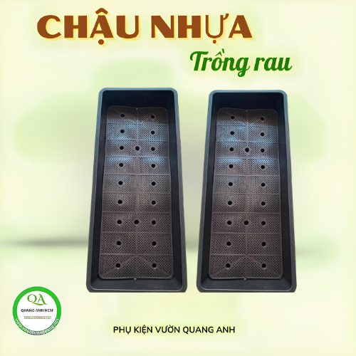 Chậu nhựa PP