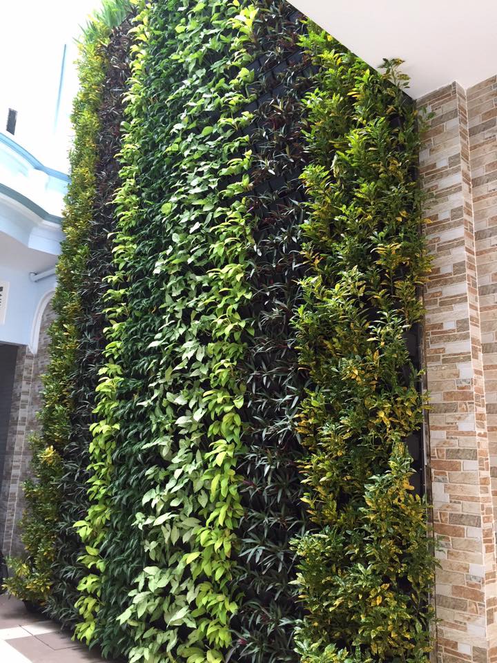 thiết kế tường cây xanh đẹp