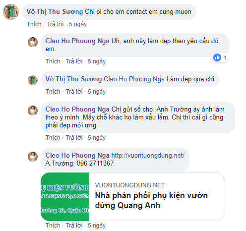 thi công vườn rau sạch tại nhà