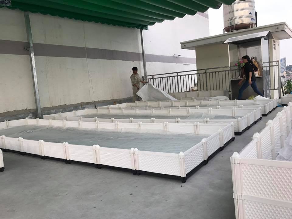 chậu ghép trồng rau thông minh
