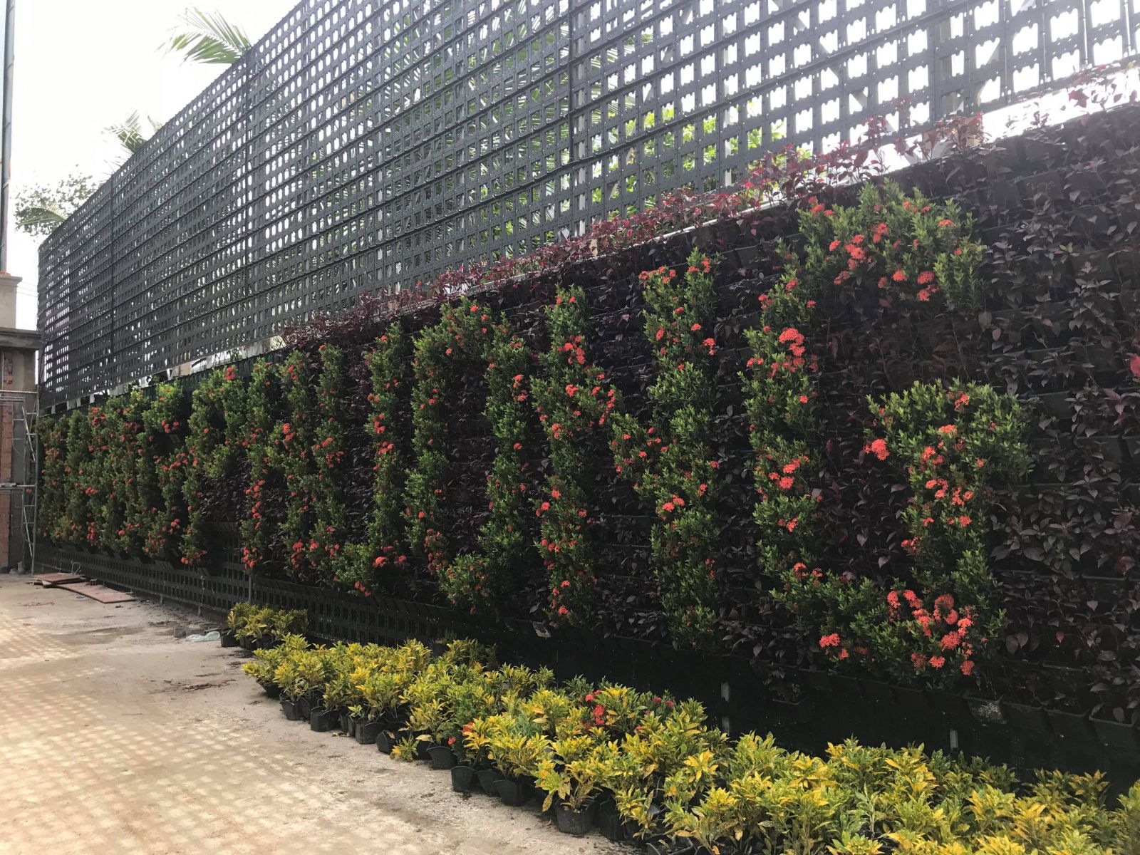 Quang Anh HCM - chuyên thi công vườn tường đứng giá rẻ tại TPHCM