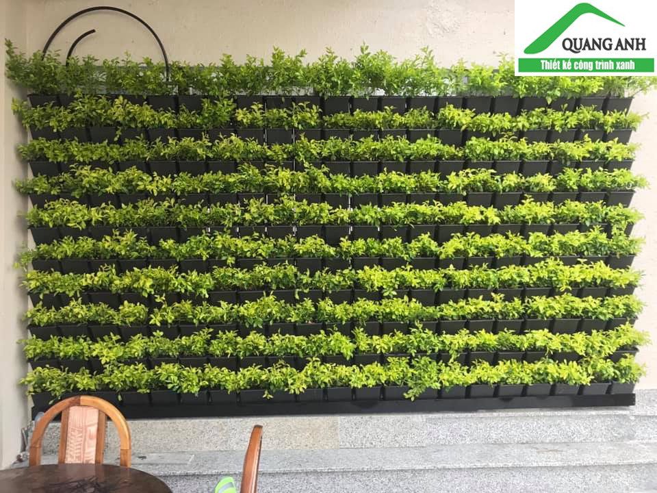 thiết kế vườn tường xanh trong nhà