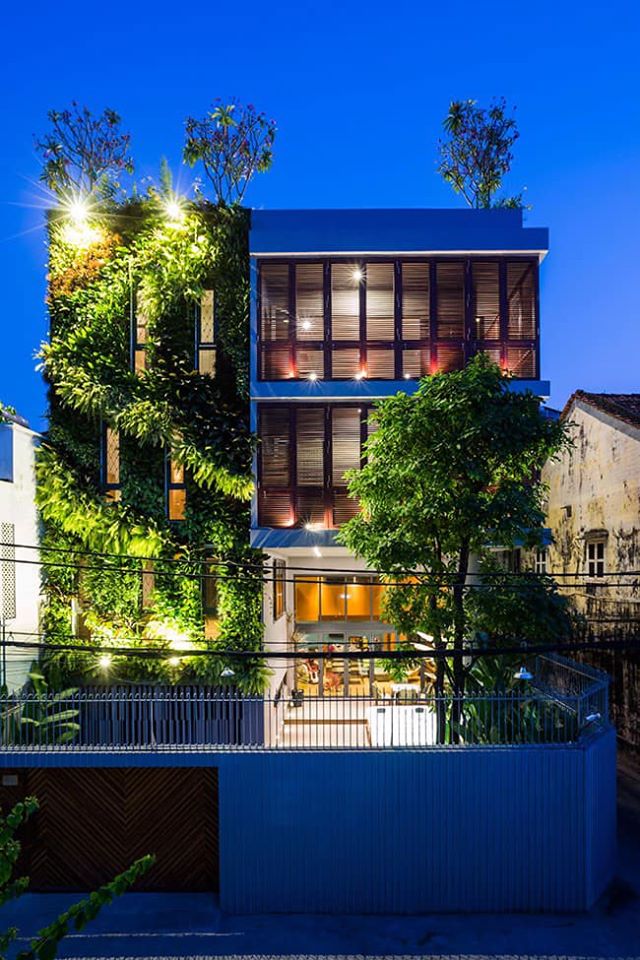 Quang Anh HCM chuyên thi công vườn tường đứng đẹp, chuyên nghiệp, giá rẻ