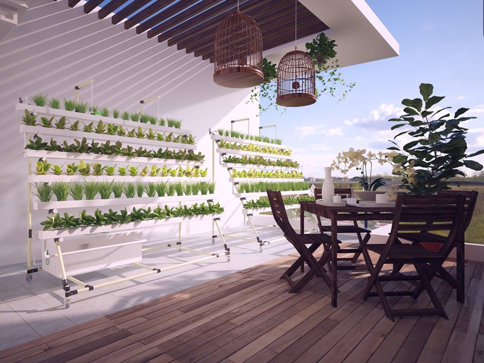 5 mô hình trồng rau sạch tại nhà phố  Thủy Canh Miền Nam