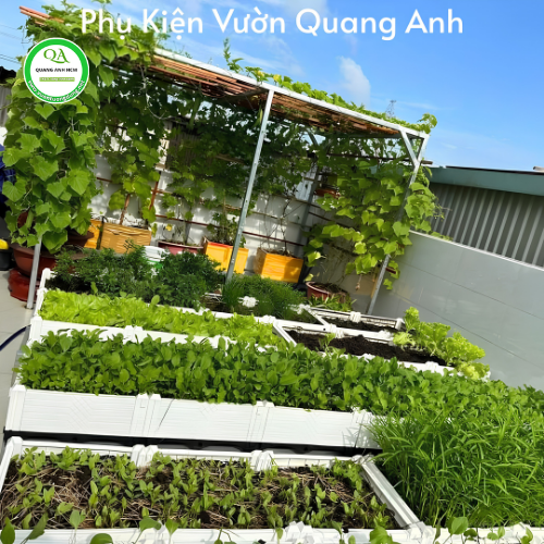 Chậu ghép trồng rau KT 50x50x60