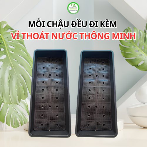 Chậu trồng rau