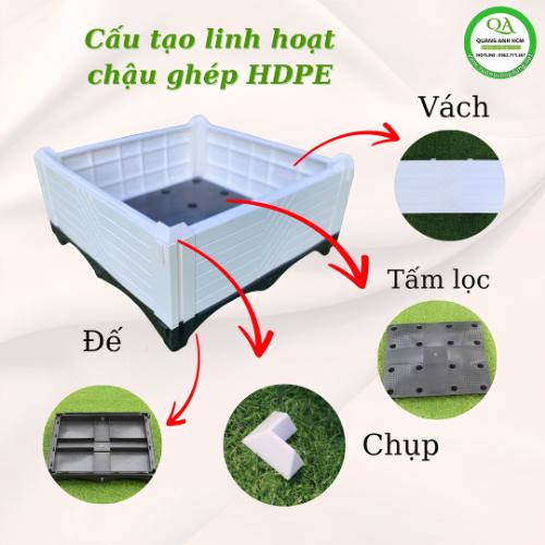 Chau-ghep-trong-rau.png
