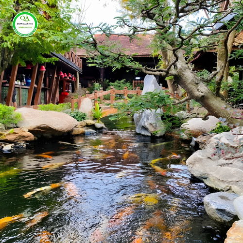 hồ cá koi