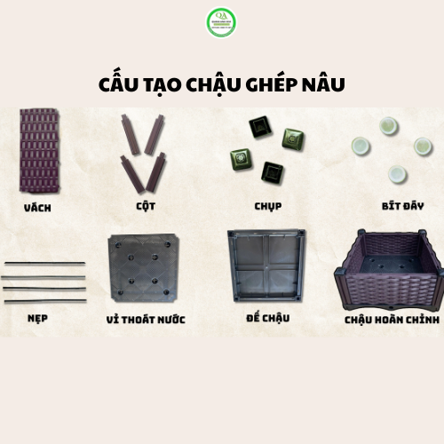 bo-phan-của-chau-ghep-trong-rau