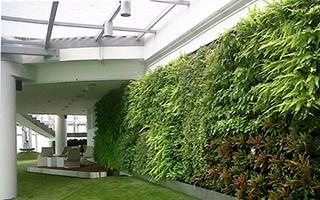 Quang Anh HCM chuyên thi công vườn tường đứng uy tín, chất lượng