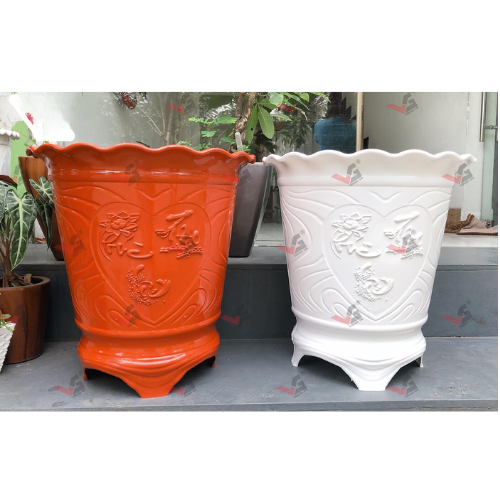 cac-loai-chau-nhua-trong-cay-trong-rau-1