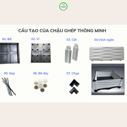 cau-tao-chau-ghep-thong-minh