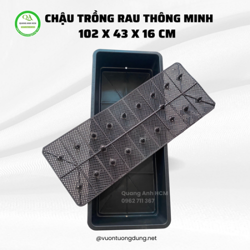 chau-dai-102-trong-rau-thong-minh.png