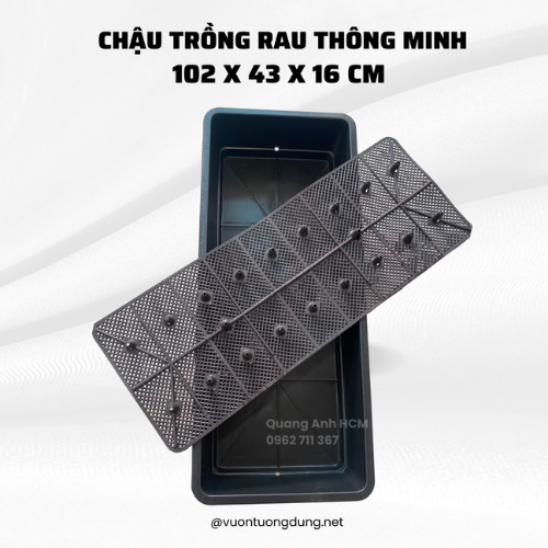 chau-dai-trong-rau