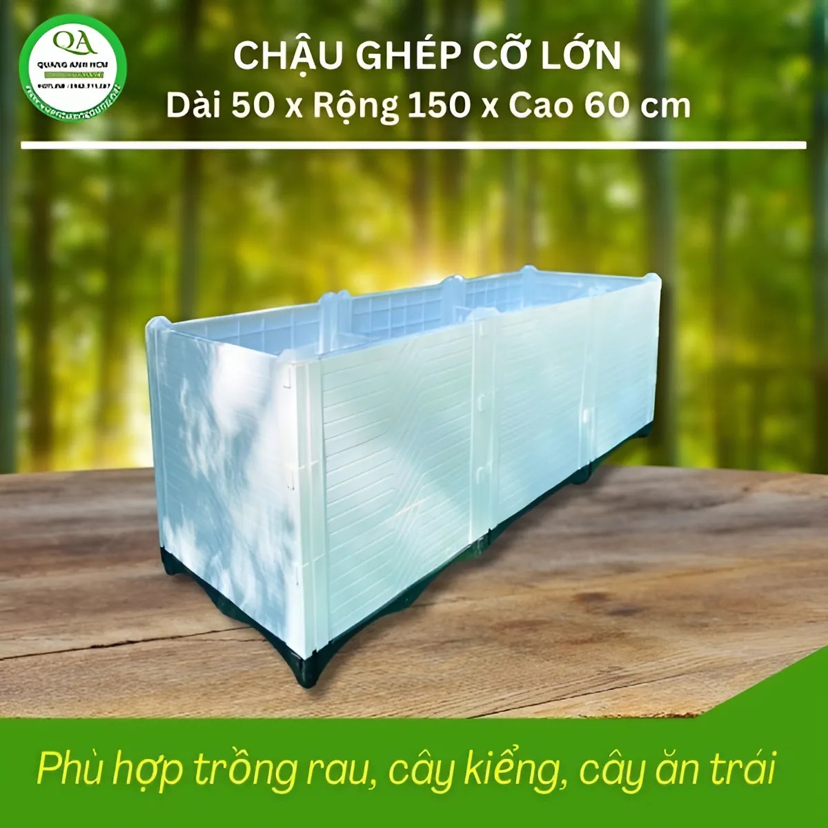 chau-ghep-trong-cay-50x150x60