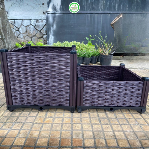 chau-ghep-mau-nau-ben-7-năm