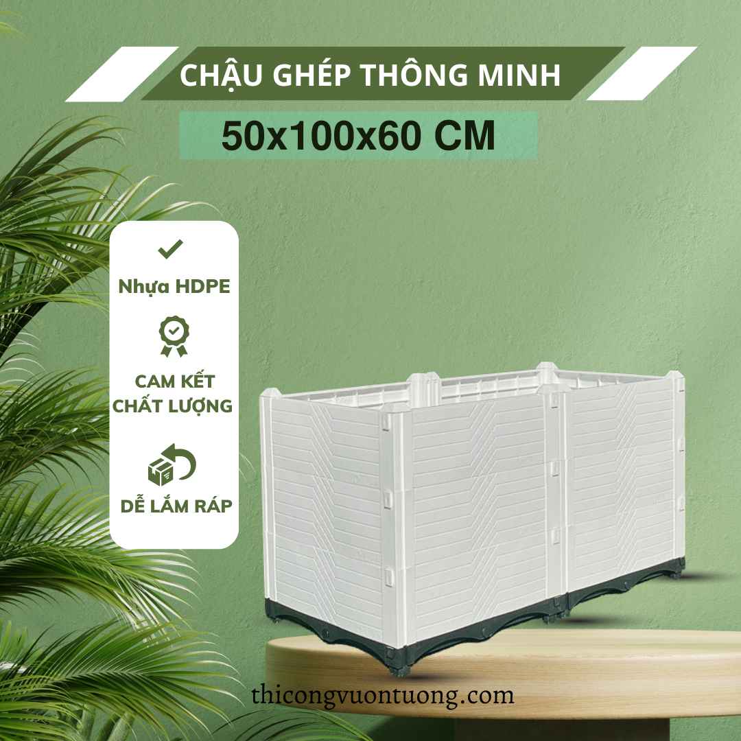 chậu ghép 50x100x60cm