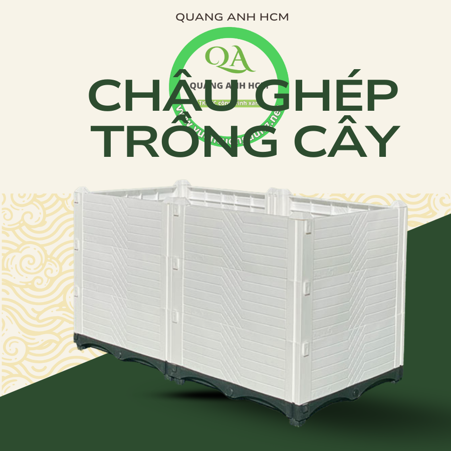 chau-ghep-trong-cay--thong-minh-so2