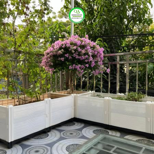 chau-ghep-trong-cay-an-qua-4