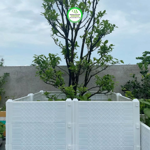 chau-ghep-trong-cay-an-qua-5