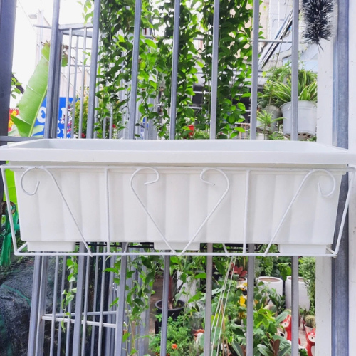 chau-moc-treo-ban-cong