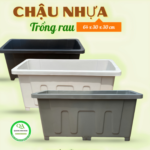 chau-nhua-trong-rau 1.png