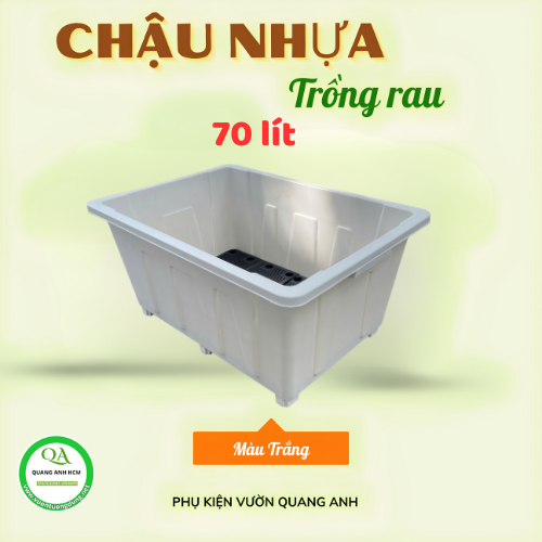 chau-nhua-trong-rau 3.png
