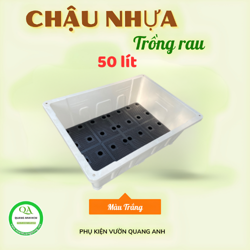 chau-nhua-trong-rau 4.png
