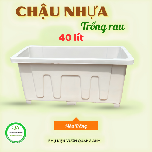 chau-nhua-trong-rau 5.png