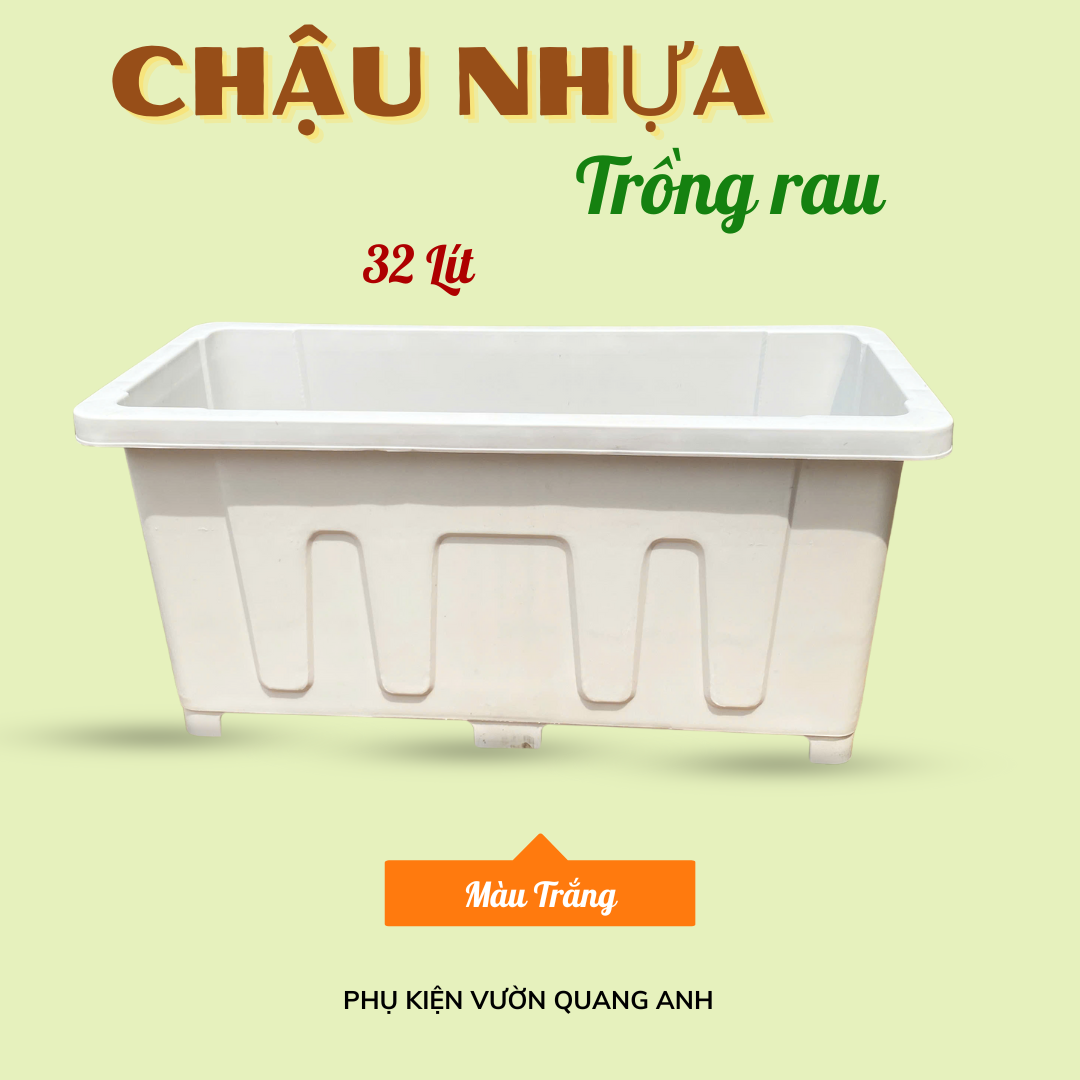 chậu nhựa trồng rau 