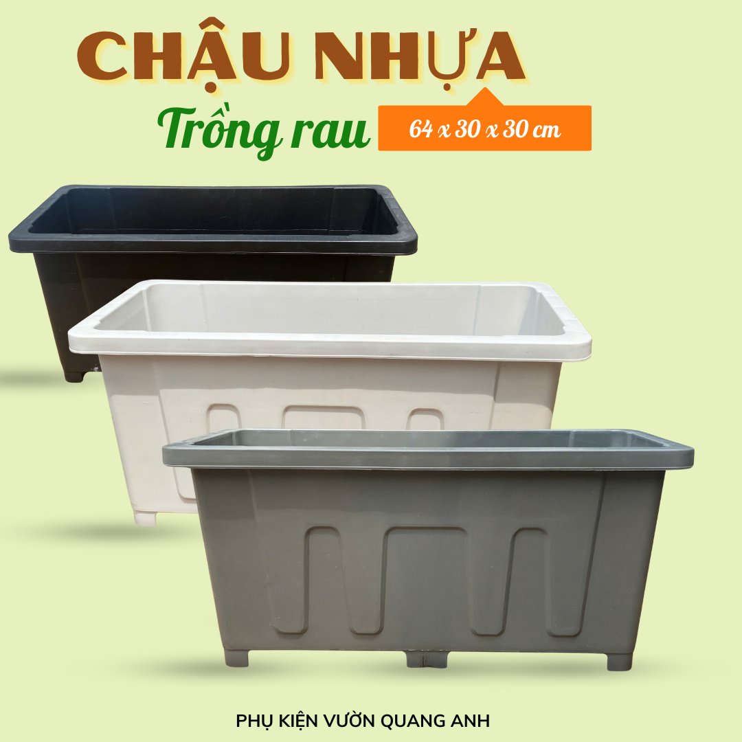 chậu nhựa trồng rau