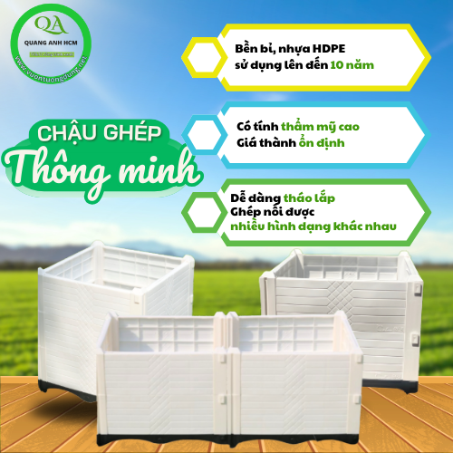 chau-ghep-trong-cay--thong-minh-so4