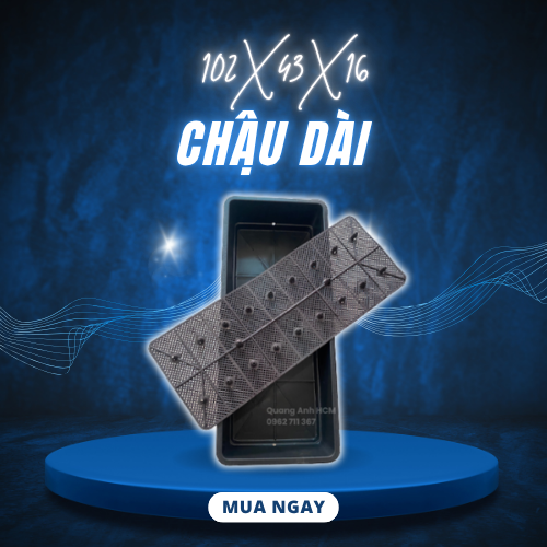chau-trong-rau-dai-khay-nhua-trong-rau