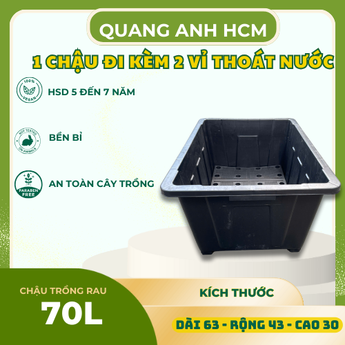 chau-trong-rau-sieu-to2