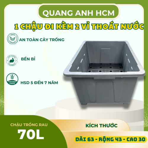 chau-trong-rau-sieu-to3