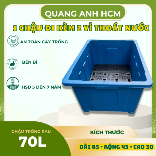 chau-trong-rau-sieu-to4