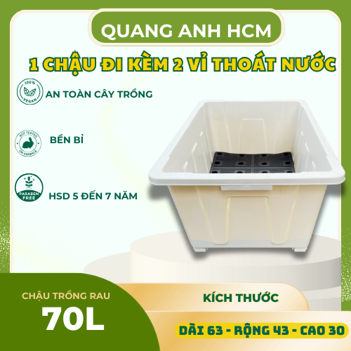 chau-trong-rau-sieu-to5