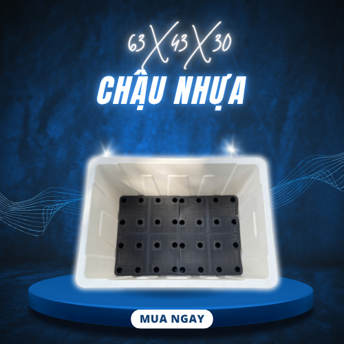 chau-trong-rau-vua