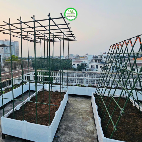 dich-vu-thi-cong-vuon-rau-tai-TP.HCM-1