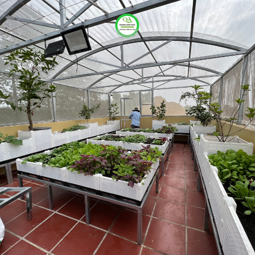 dich-vu-thi-cong-vuon-rau-tai-TP.HCM-2