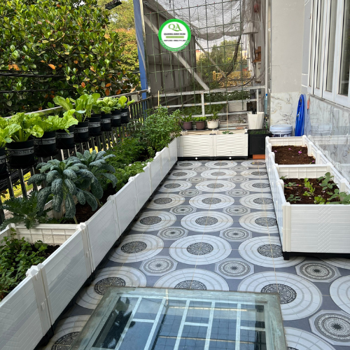 dich-vu-thi-cong-vuon-rau-uy-tin