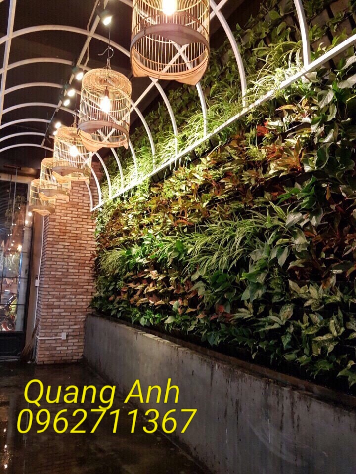 thiết kế vườn tường cây xanh hcm