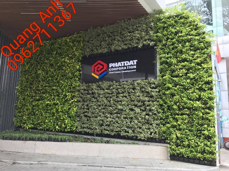 Quang Anh HCM chuyên thi công vườn tường đứng uy tín, chất lượng