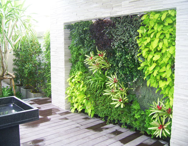 vườn tường đứng trên hành lang tạo không gian tươi mát cho ngôi nhà của bạn