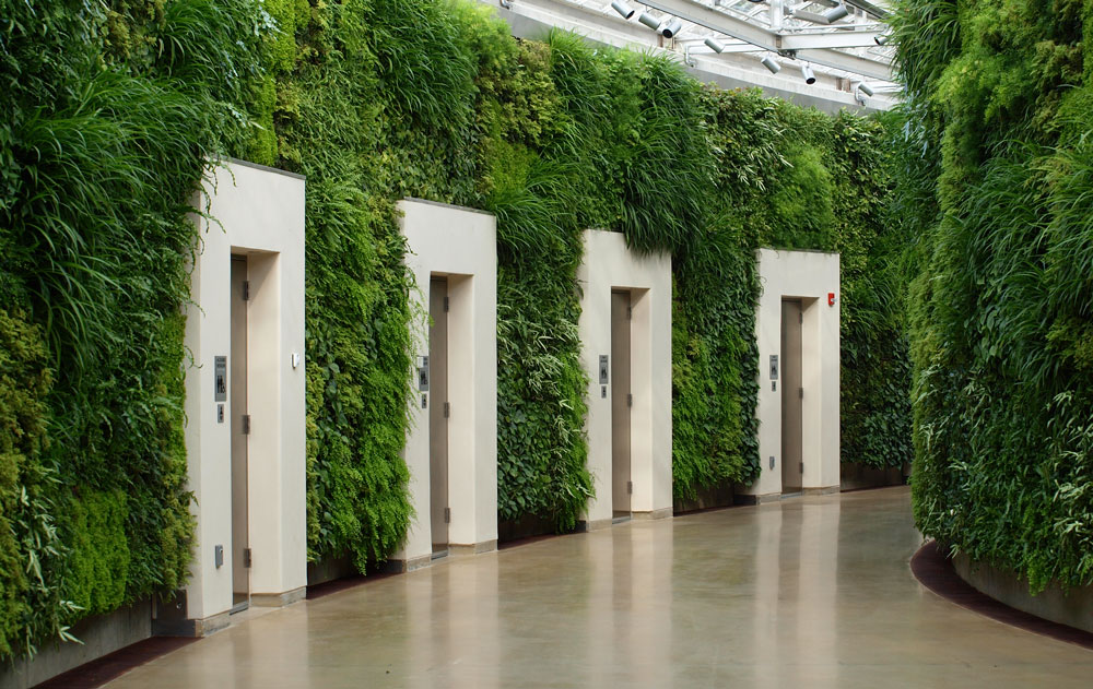 vườn tường đứng trên hành lang tạo không gian tươi mát cho ngôi nhà của bạn