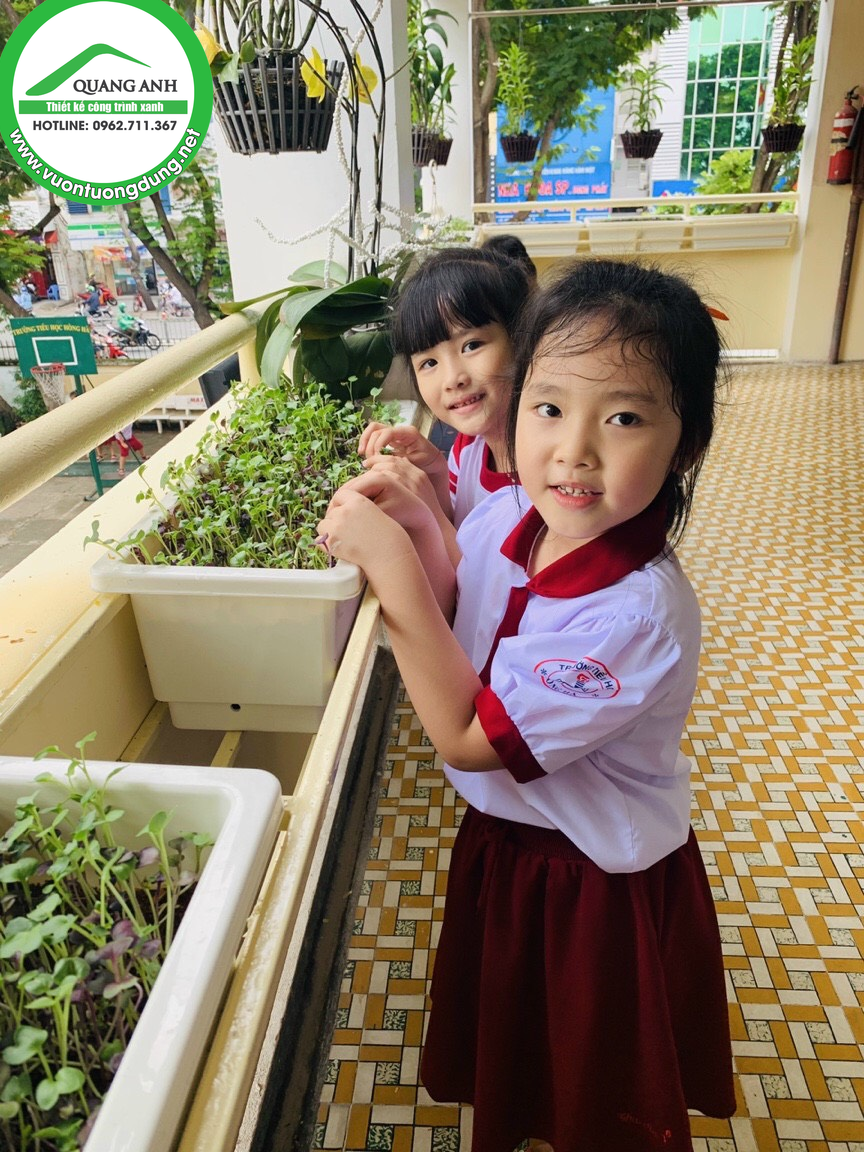 Quang Anh HCm chuyên thi công vườn rau sạch cho các trường học, công sở
